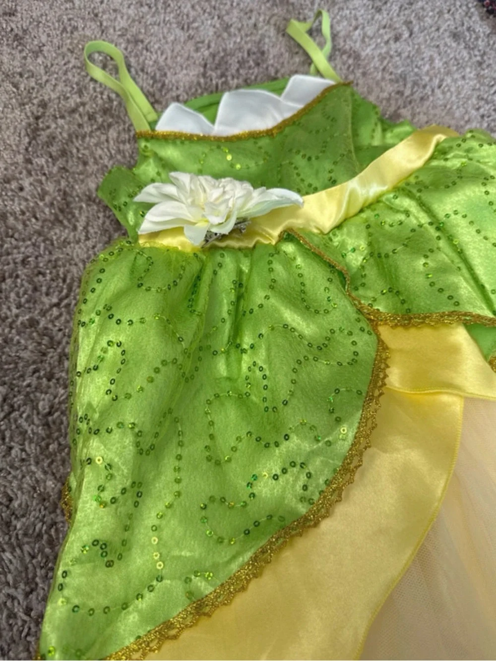 Tiana Dress - Disney Princess